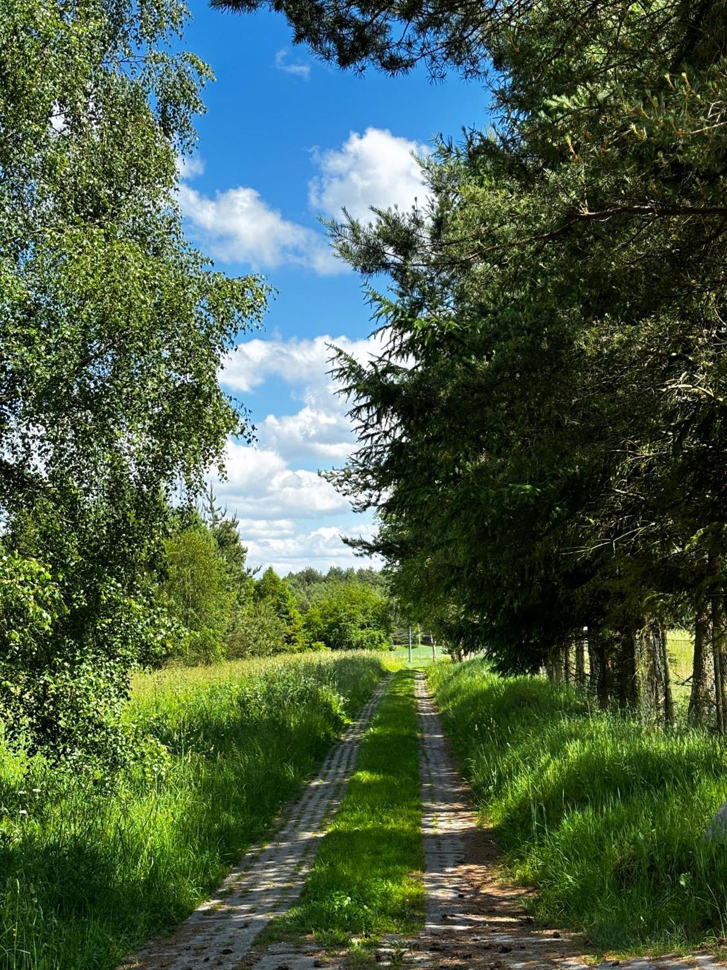 Siedlisko Blotnia Villa Mierzeszyn Exteriör bild